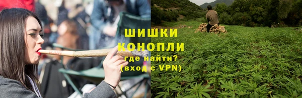 СК Протвино