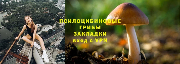винт Покровск
