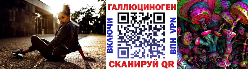 Купить где  Киренск  Псилоцибиновые грибы Psilocybine cubensis 